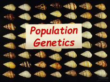 Population Genetics PPT