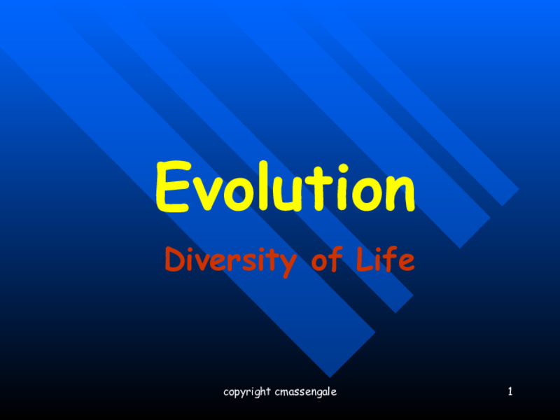 Evolution – Diversity of Life PPT