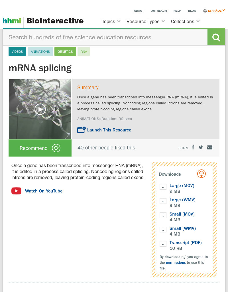 mRNA Splicing Instructional Video