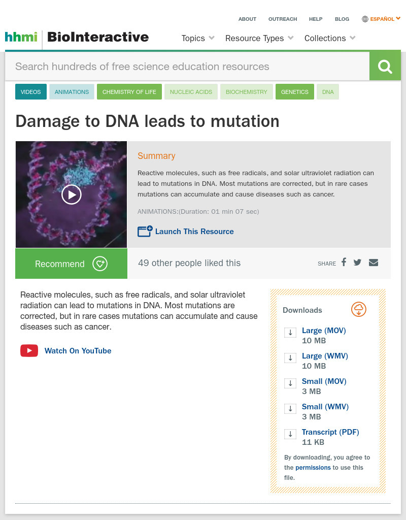 Damage to DNA Leads to Mutation Instructional Video