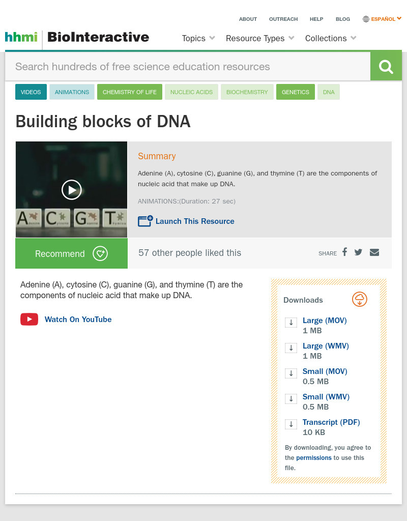 Building Blocks of DNA Instructional Video