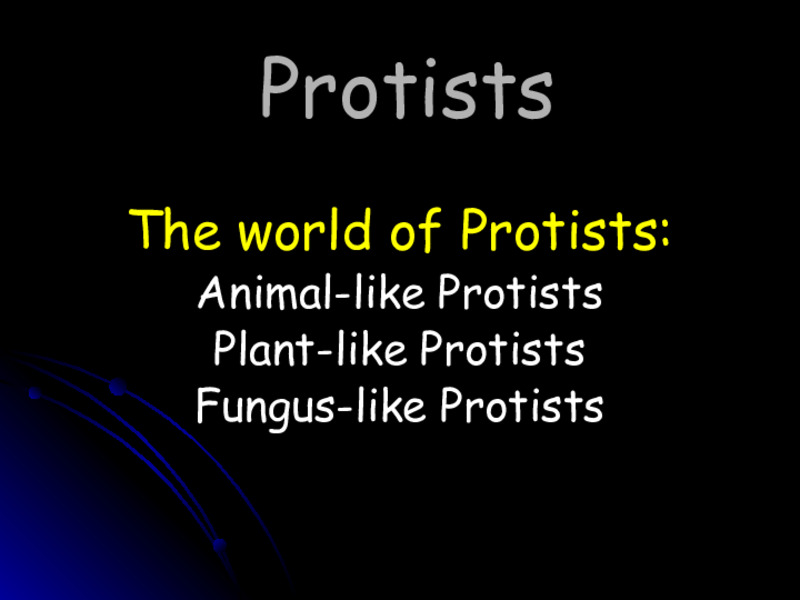 Protists: The World of Protists PPT
