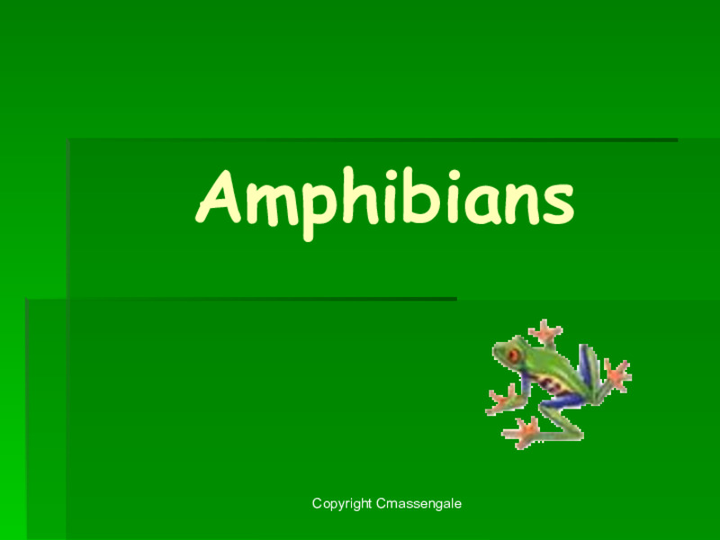 Amphibians PPT