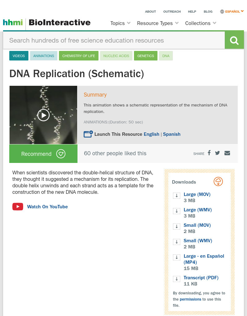 DNA Replication (Schematic) Instructional Video