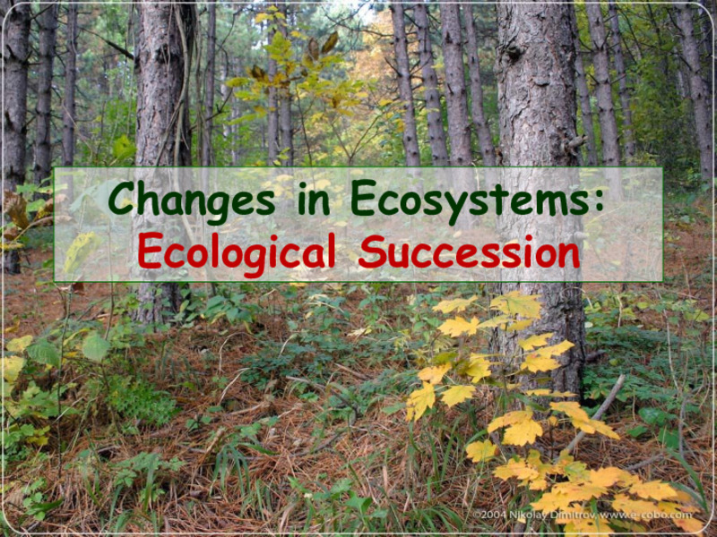 Changes in Ecosystems: Ecological Succession PPT