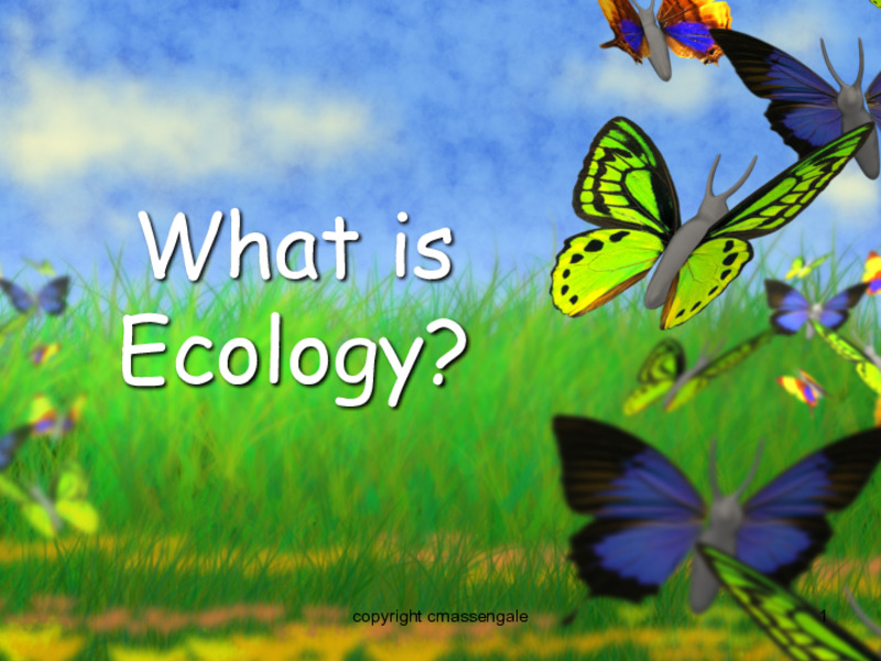 What Is Ecology? PPT