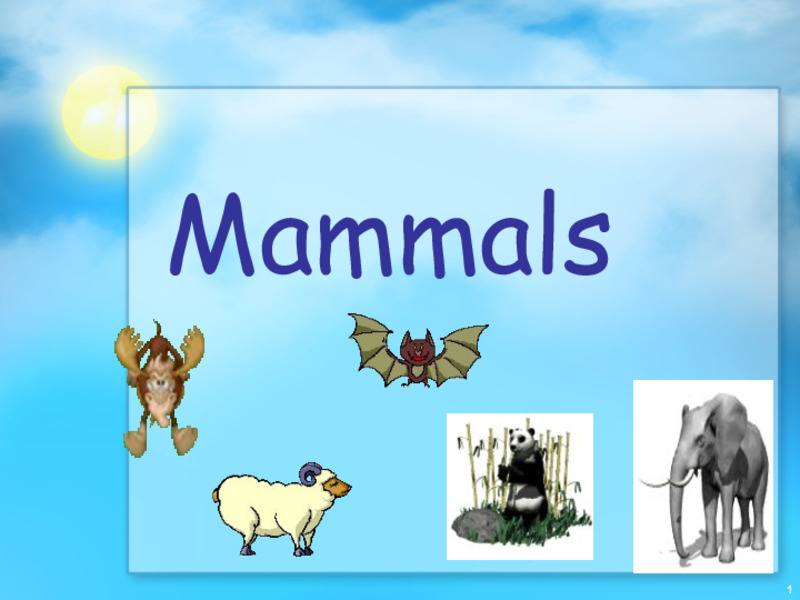 Mammals PPT
