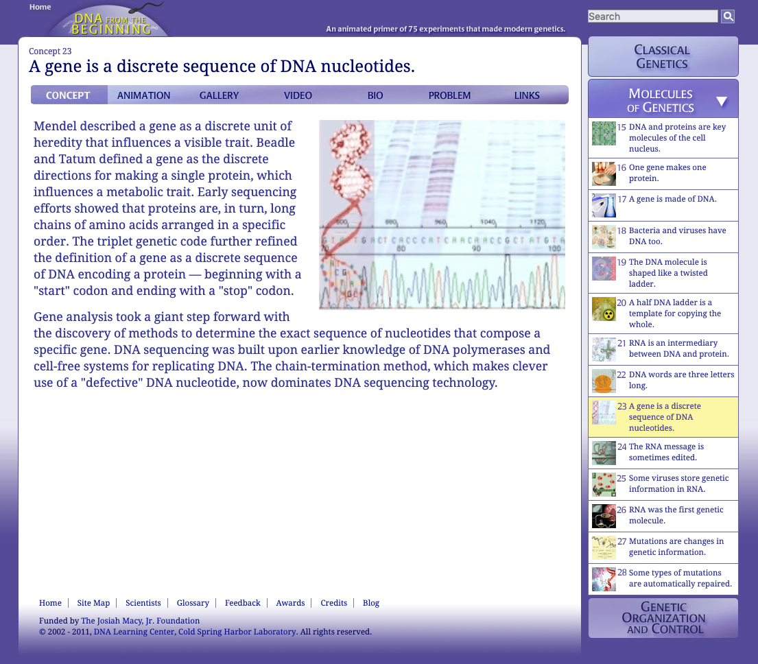 A Gene Is a Discrete Sequence of DNA Nucleotides Interactive