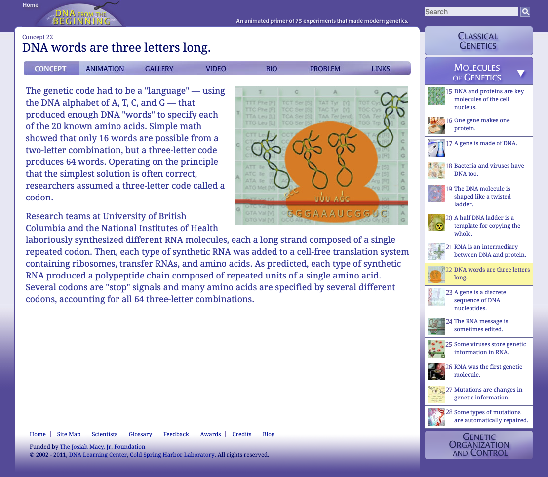 DNA Words Are Three Letters Long Interactive