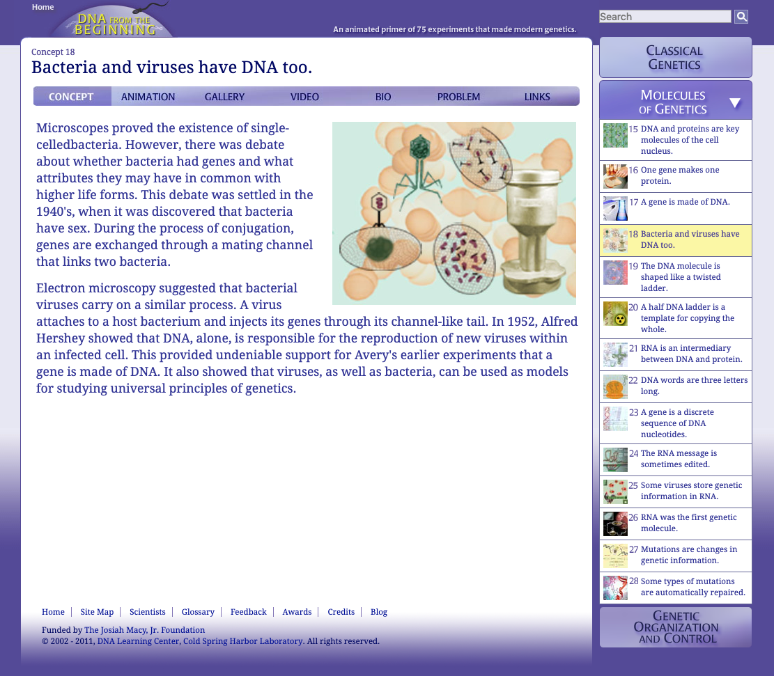 Bacteria and Viruses Have DNA Too Interactive