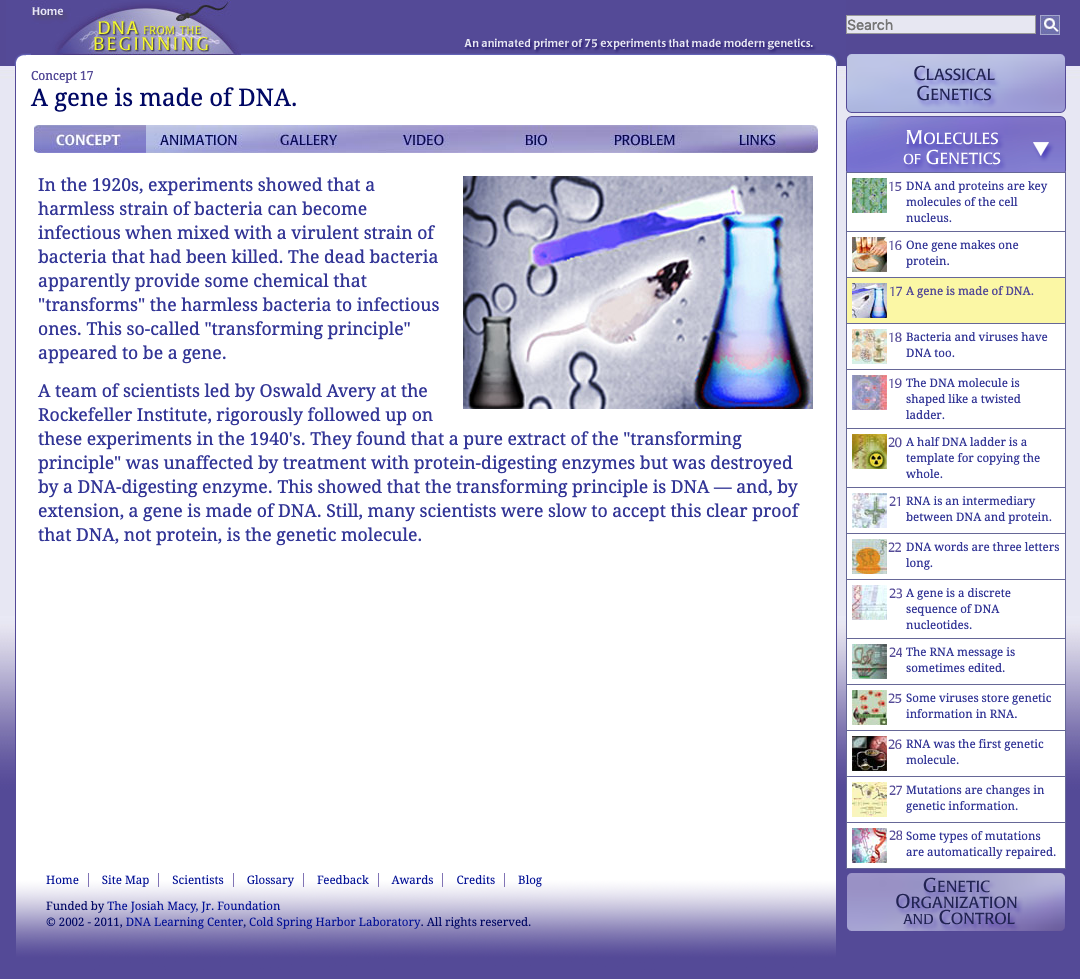 A Gene Is Made of DNA Interactive