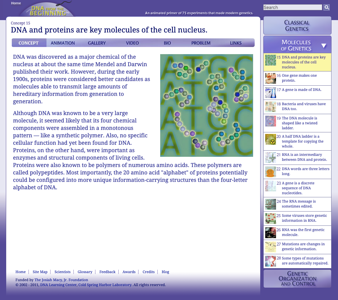 DNA and Proteins Are Key Molecules of the Cell Nucleus Interactive