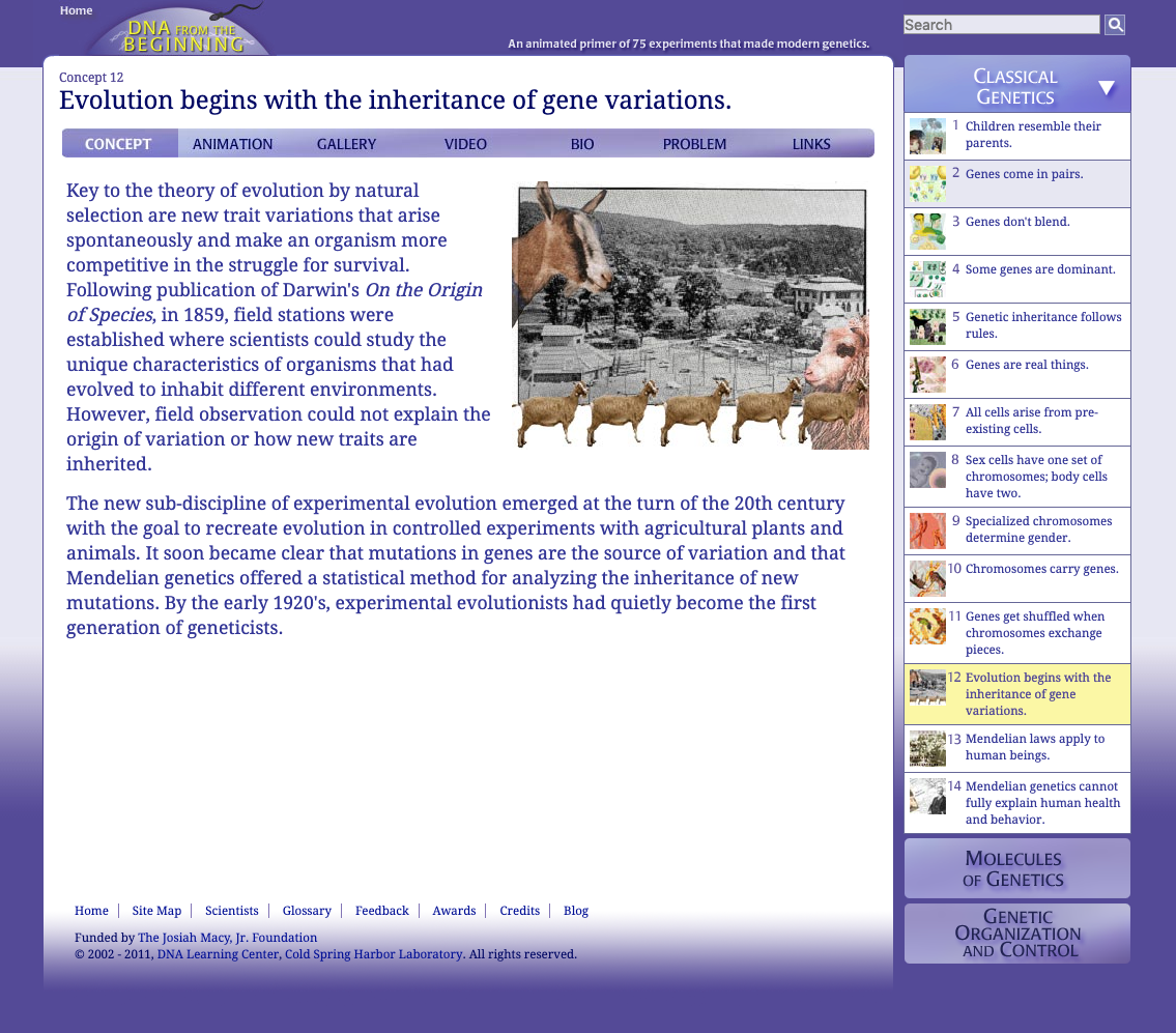 Evolution Begins with the Inheritance of Gene Variations Interactive