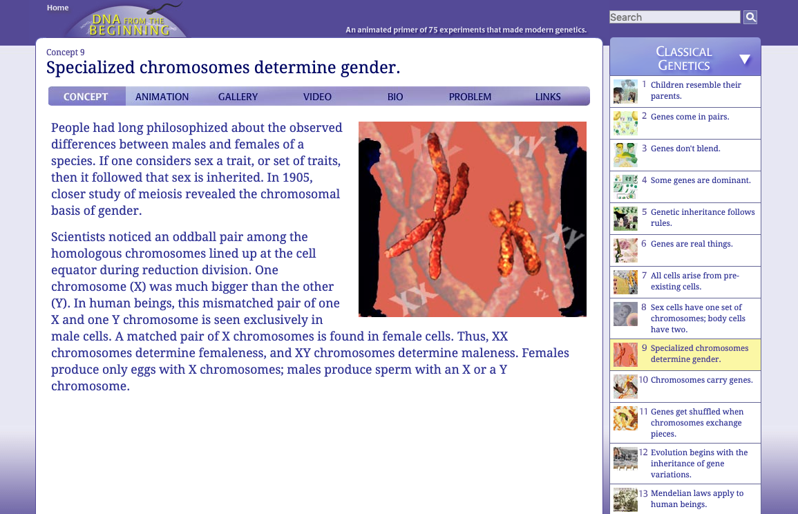 Specialized Chromosomes Determine Gender Interactive