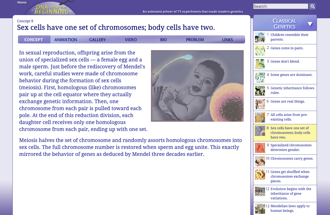 Sex Cells Have One Set of Chromosomes; Body Cells Have Two Interactive