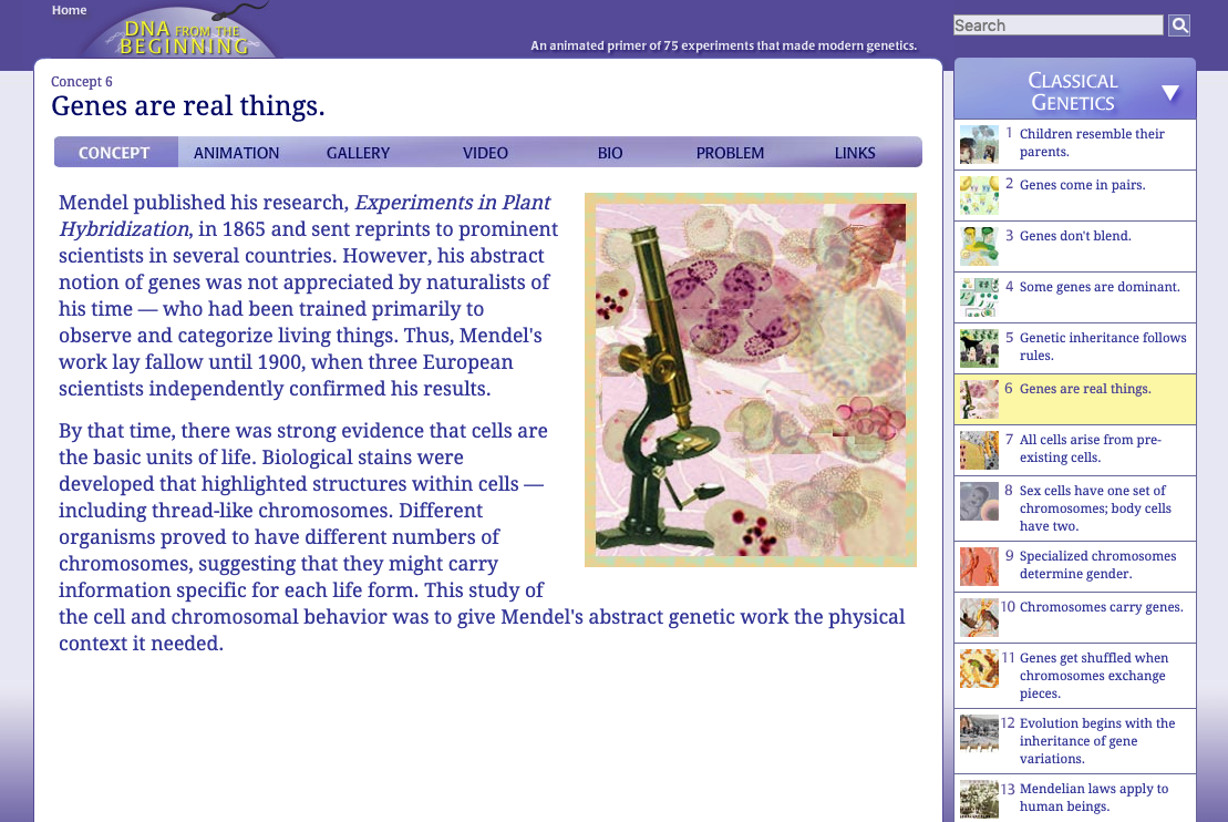 Genes Are Real Things Interactive