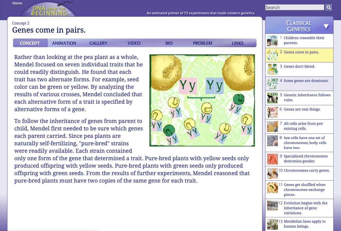 Genes Come in Pairs Interactive