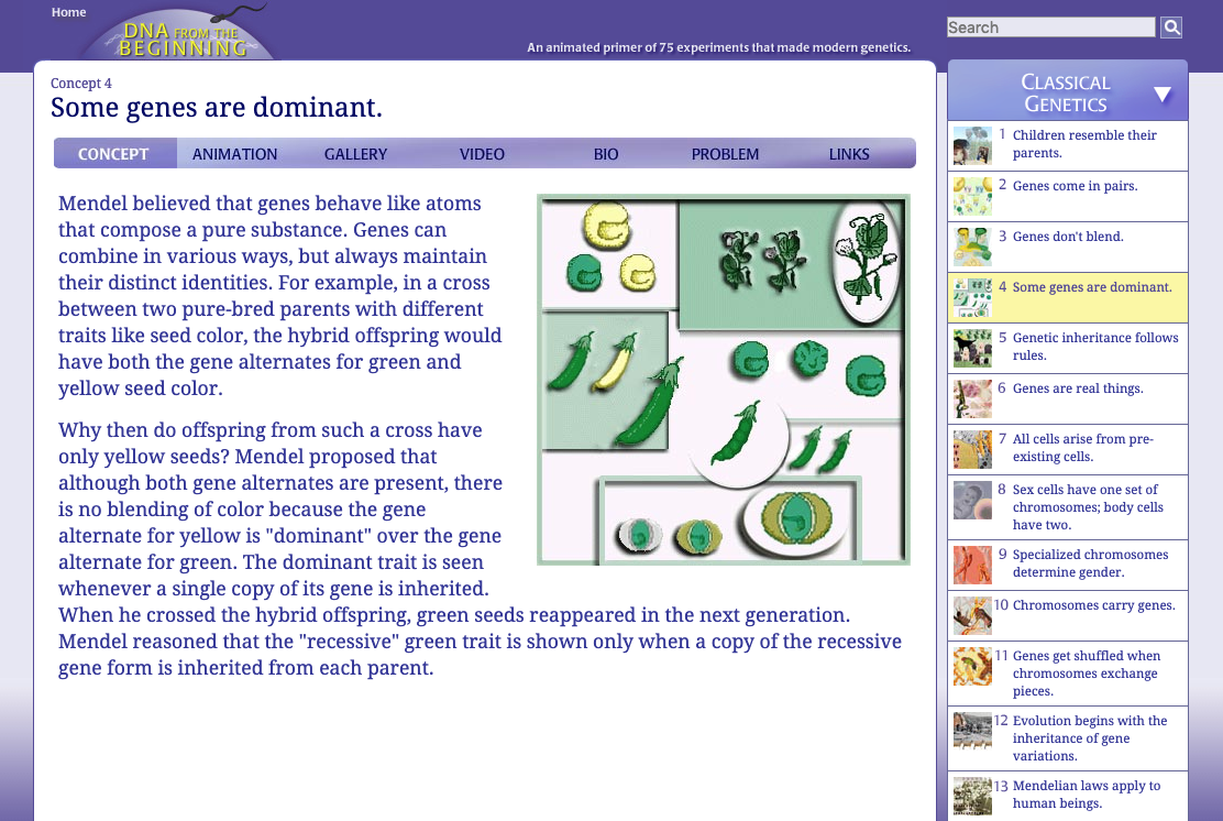 Some Genes Are Dominant Interactive