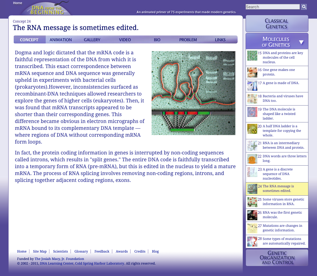 The RNA Message Is Sometimes Edited Interactive