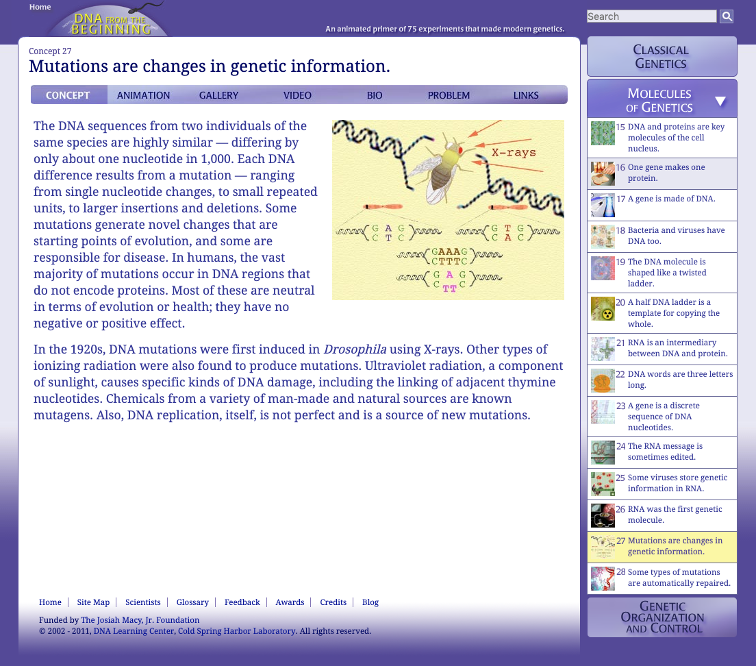 Mutations Are Changes in Genetic Information Interactive
