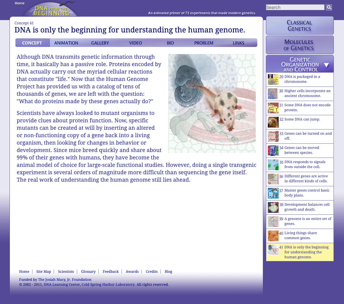 DNA Is Only the Beginning for Understanding the Human Genome Interactive