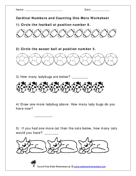 How Many?  Worksheet