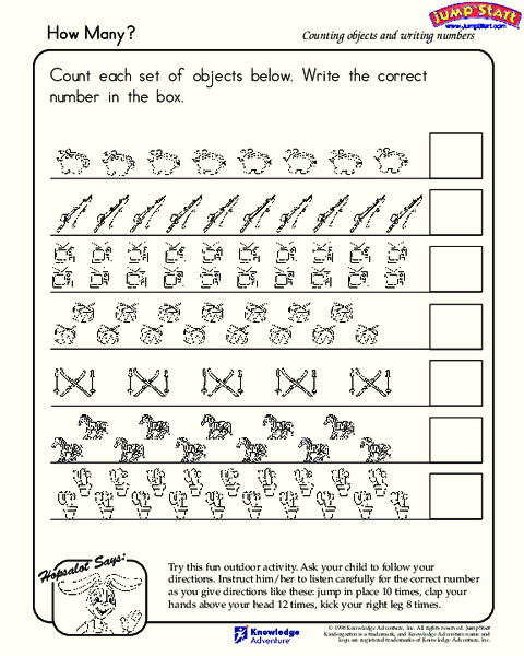 How Many? Lesson Plan
