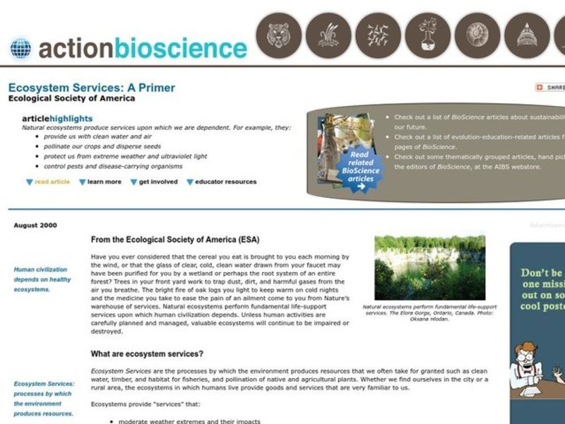 How Much Is an Ecosystem Worth? Lesson Plan