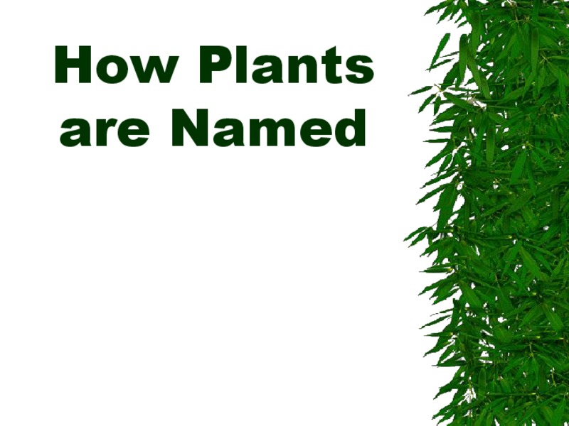How Plants are Named PPT