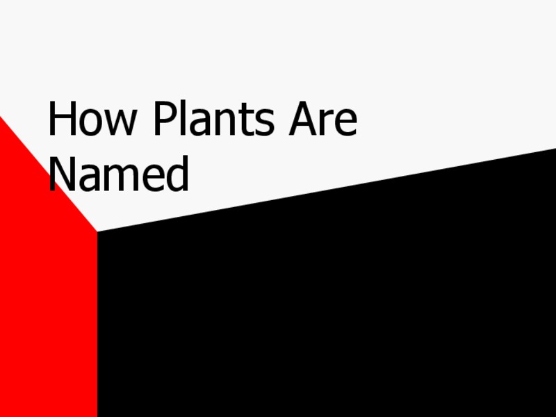 How Plants Are Named PPT