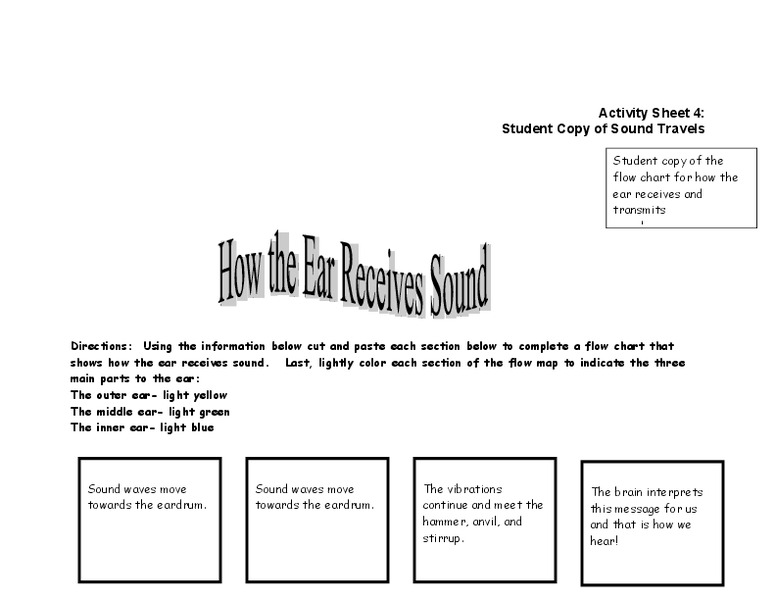 How the Ear Receives Sound Worksheet