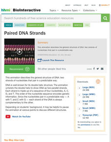 Paired DNA Strands Instructional Video