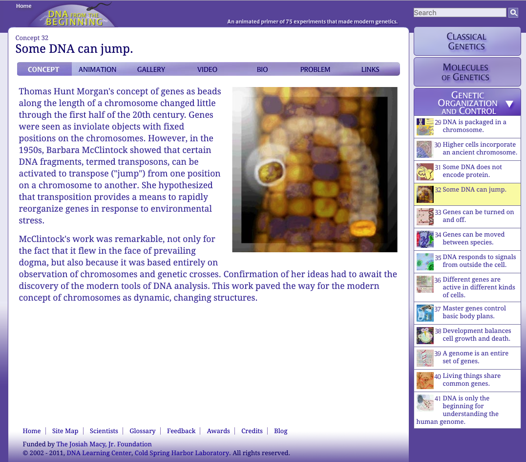 Some DNA Can Jump Interactive