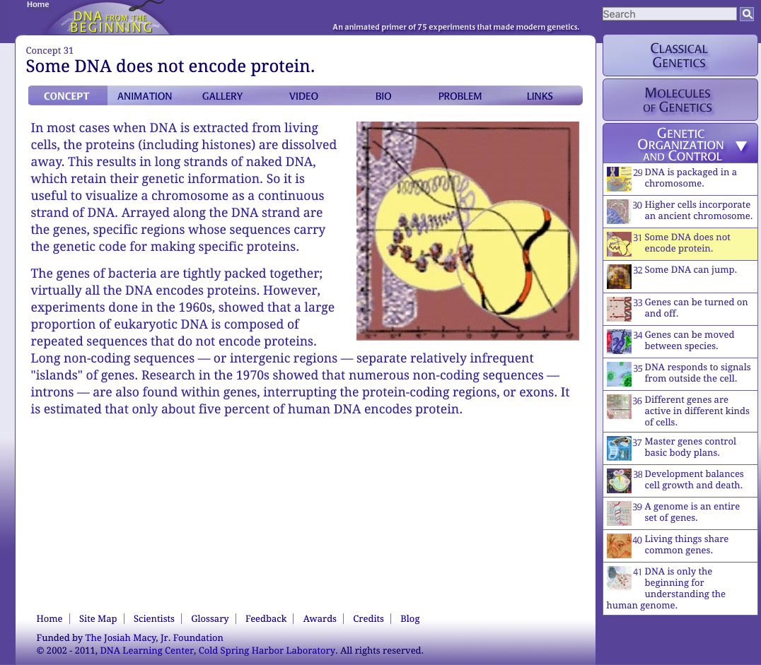 Some DNA Does Not Encode Protein Interactive