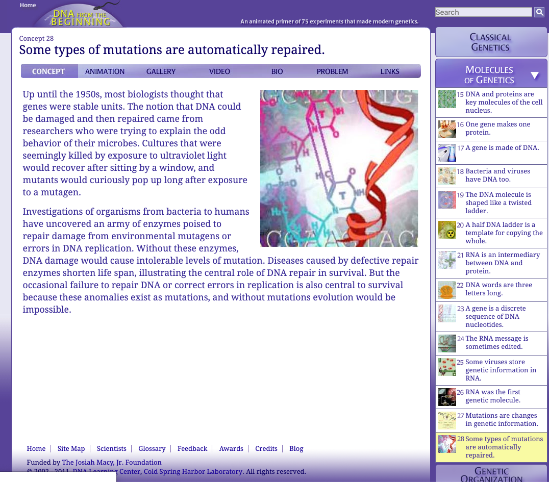 Some Types of Mutations Are Automatically Repaired Interactive