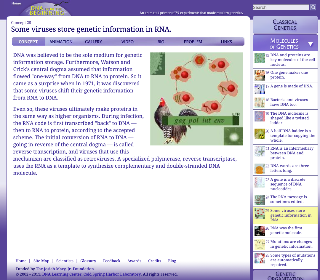 Some Viruses Store Genetic Information in RNA Interactive