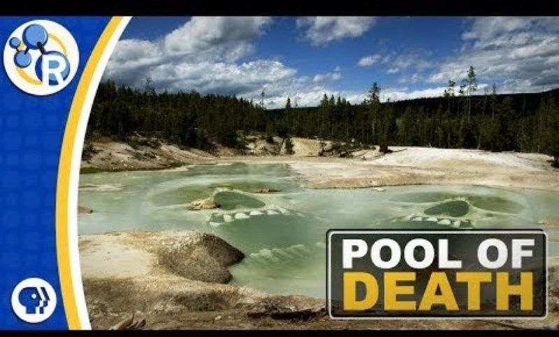 Yellowstone Steaming Acid Pools of Death Instructional Video