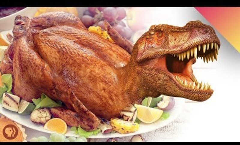 The Dinosaur on Your Dinner Table Instructional Video