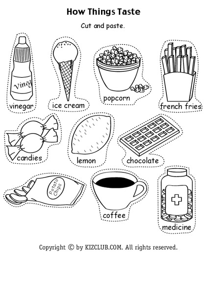 How Things Taste Lesson Plan
