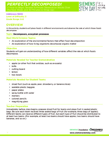 Perfectly Decomposed! Activity