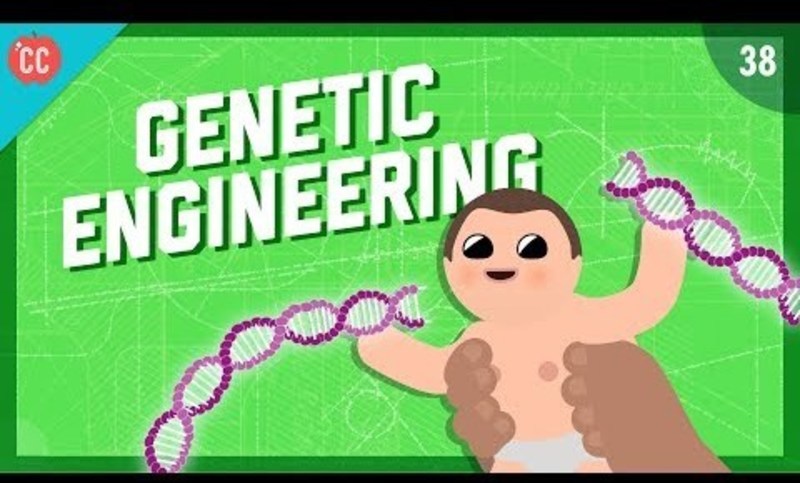 Changing the Blueprints of Life - Genetic Engineering: Crash Course Engineering #38 Instructional Video
