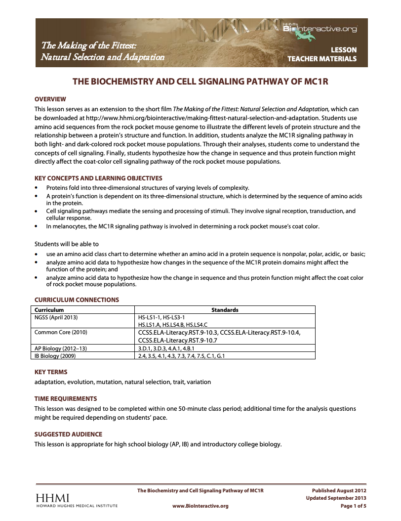 Biochemistry and Cell Signaling Pathway of the Mc1r Gene Activity