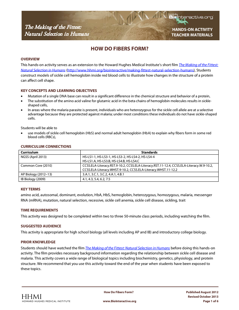 How Do Fibers Form? Activity