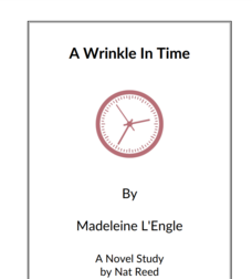A Wrinkle In Time: Novel Study Study Guide