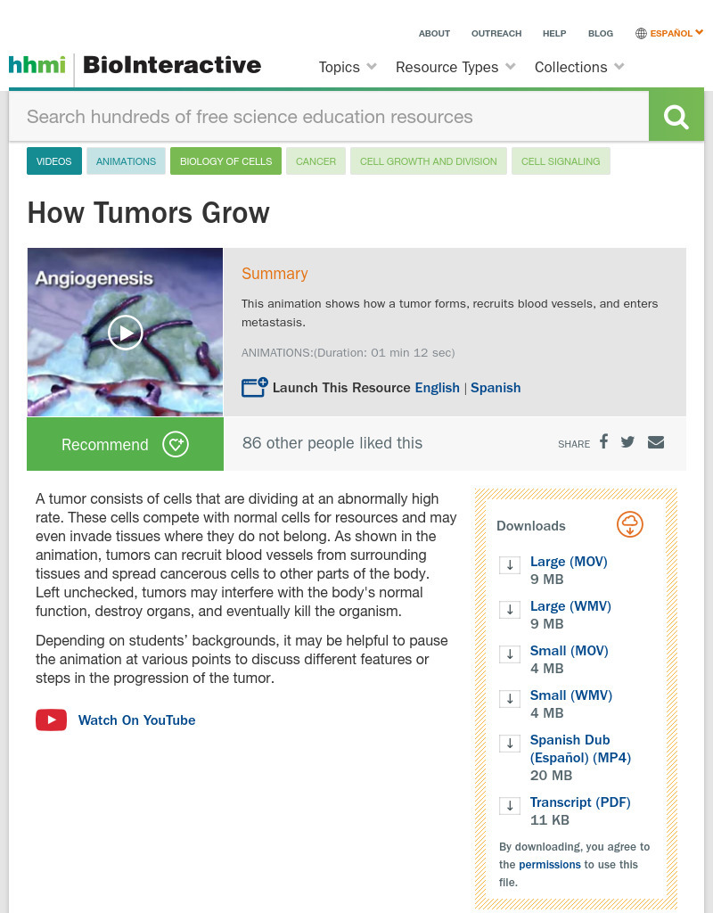 Angiogenesis Instructional Video