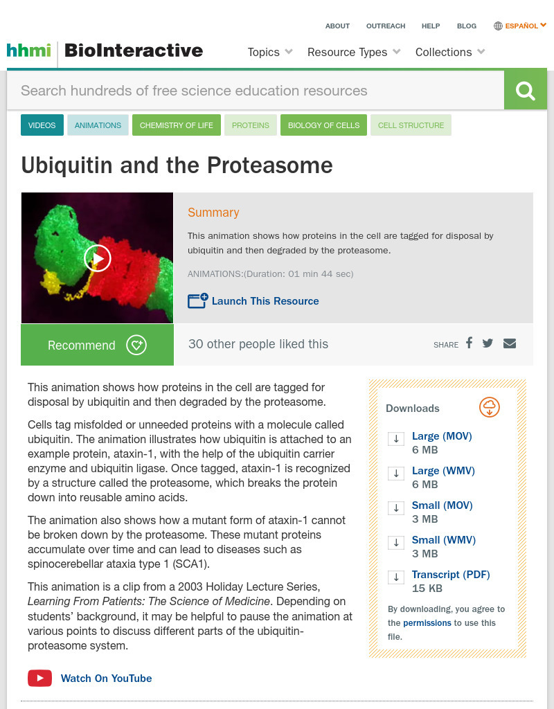 The Proteasome Instructional Video