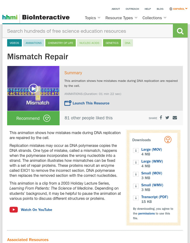 Mismatch Repair Instructional Video