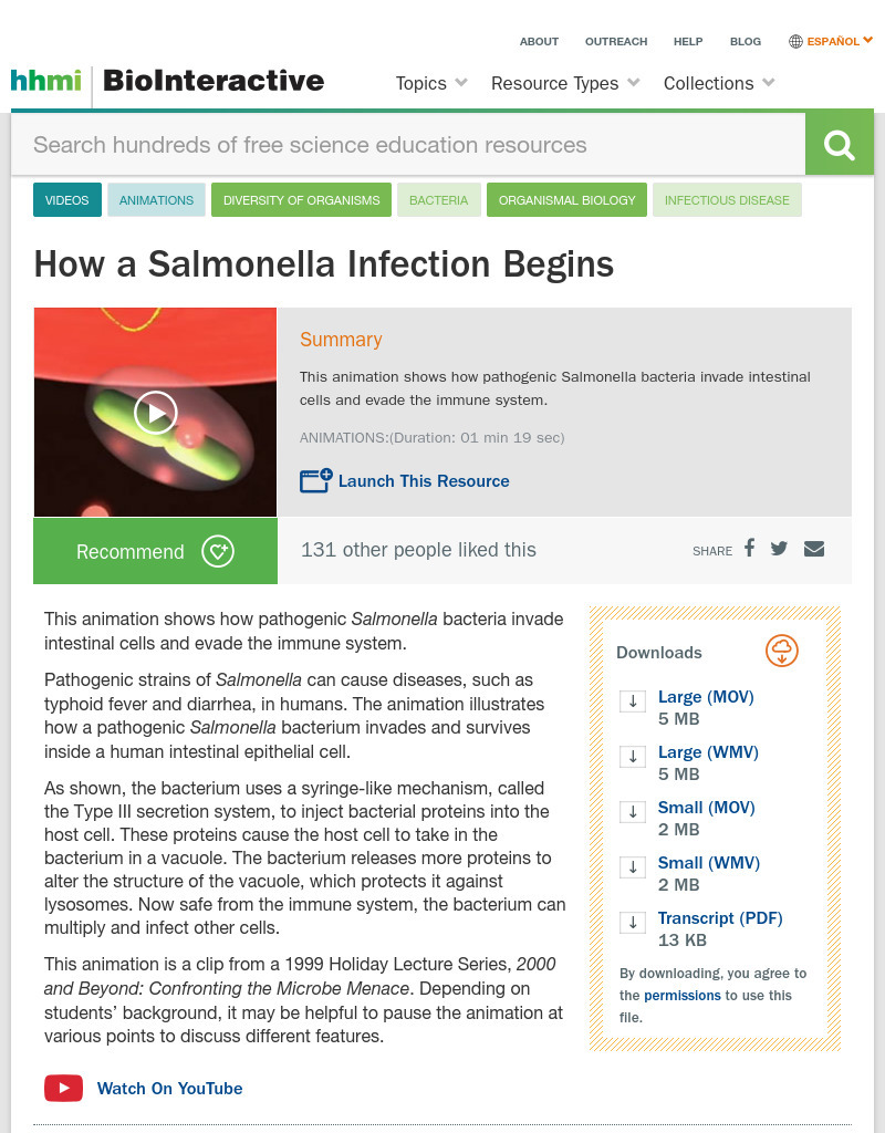 Intracellular Infection by Salmonella Instructional Video
