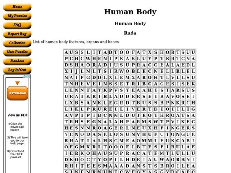 Human Body Worksheet
