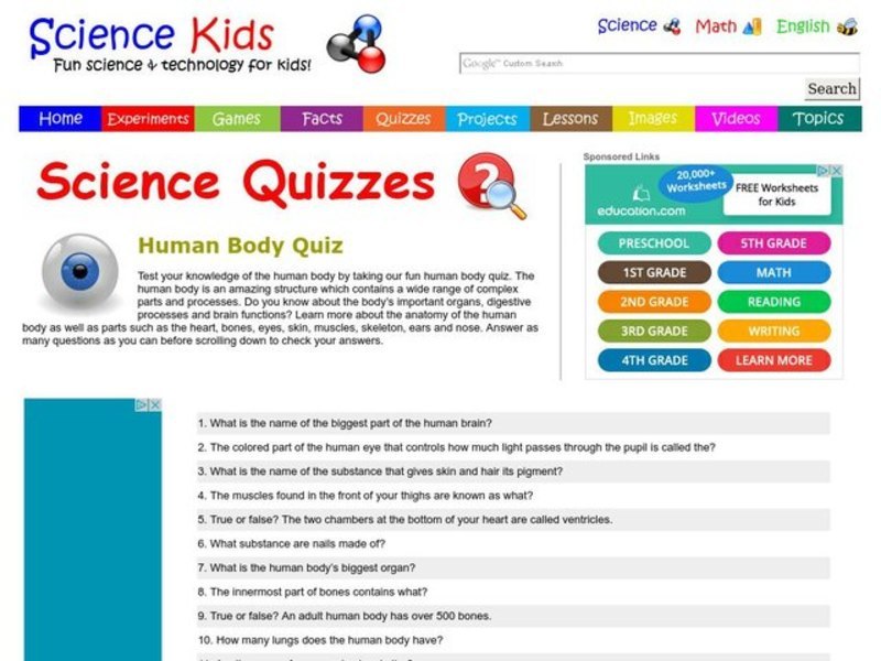 Human Body Quiz Worksheet